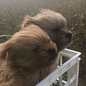 Meet your Posher, Wendy